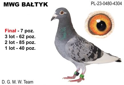 PL-0480-23-4304: DGMW Team, 33. Lotnik, m in 40m, 85m, 62m, 7m z FINAŁU Gołąb z hodowli: DGMW Team.