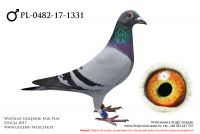 PL-0482-17-1331