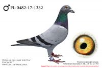 PL-0482-17-1332