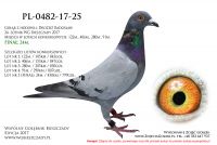 PL-0482-17-25