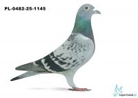 PL-0482-25-1145 6. OKRĘG WARSZAWA 