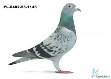 PL-0482-25-1145 6. OKRĘG WARSZAWA 