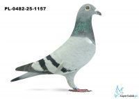 PL-0482-25-1157 6. OKRĘG WARSZAWA