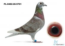 PL-0482-26-5701