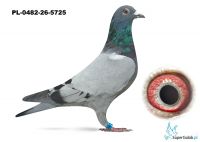 PL-0482-26-5725