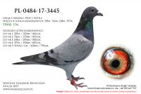 PL-0484-17-3445