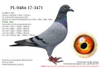 PL-0484-17-3471