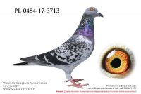 PL-0484-17-3713