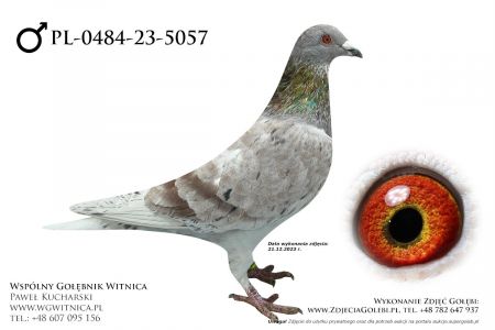 PL-0484-23-5057: Zon Krzysztof