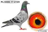 PL-0486-17-2125_samiec