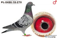 PL-0486-18-270_samiec