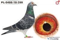PL-0486-18-398_samiec