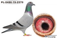 PL-0486-19-2570
