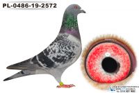 PL-0486-19-2572