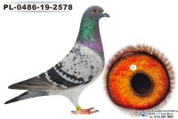 PL-0486-19-2578