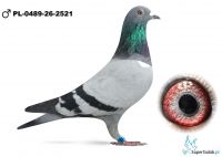 PL-0489-26-2521	74  Ekstra finału   - BEN-K