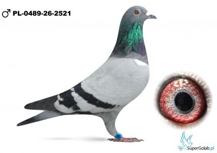 PL-0489-26-2521	74  Ekstra finału   - BEN-K