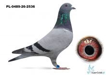 PL-0489-26-2536   BEN - K 