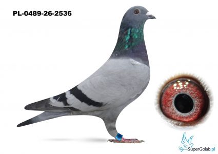 PL-0489-26-2536   BEN - K 