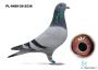 PL-0489-26-2536   BEN - K 