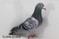 PL-0496-22-9848