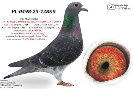 PL-0498-23-7285 prawnuczka 2 ASA POLSKI kat. C