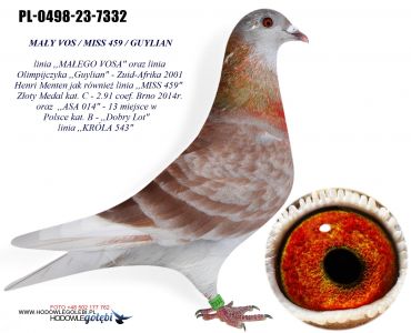 PL-0498-23-7332 linia ,,MAŁEGO VOSA