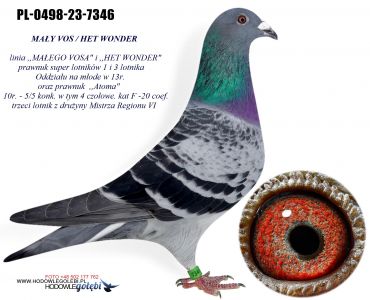 PL-0498-23-7346 linia ,,MAŁEGO VOSA