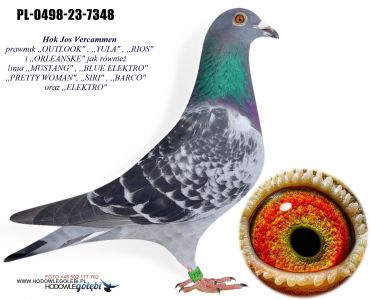 PL-0498-23-7348 Jos Vercammen