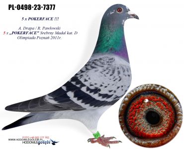 PL-0498-23-7377 - 5 x ,,POKERFACE