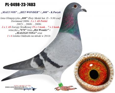 PL-0498-23-7403 linia ,,MAŁEGO VOSA'' i ,,808
