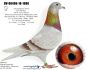 PL-0498-23-7403 linia ,,MAŁEGO VOSA'' i ,,808