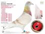 PL-0498-23-7403 linia ,,MAŁEGO VOSA'' i ,,808