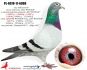 PL-0498-23-7403 linia ,,MAŁEGO VOSA'' i ,,808
