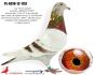 PL-0498-23-7403 linia ,,MAŁEGO VOSA'' i ,,808