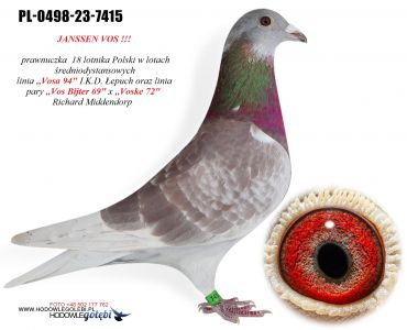 PL-0498-23-7415 - JANSSEN VOS !!! / prawnuk 18 lotnika Polski