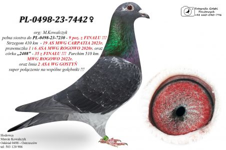 PL-0498-23-7442 linia 2 ASA OLR FCI GIEWONT 2025r.