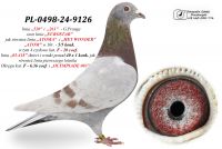 PL-0498-24-9126 - linia ,,520