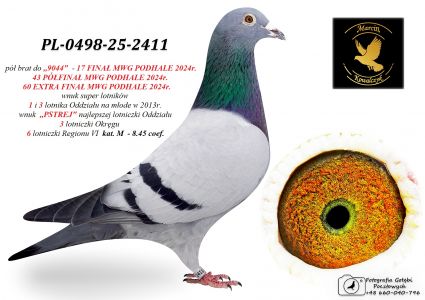 PL-0498-25-2411 wnuk 1 i 3 lotnika Oddziału / wnuk 1 lotniczki Oddziału kat. M