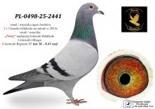 PL-0498-25-2441 wnuk 1 i 3 lotnika Oddziału / wnuk 1 lotniczki Oddziału kat. M