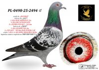 PL-0498-25-2494 wnuk ,,ZŁOTKO