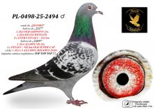 PL-0498-25-2494 wnuk ,,ZŁOTKO