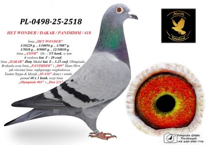 PL-0498-25-2518 DAKAR / PANIMDIM / HET WONDER