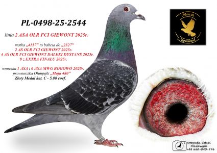 PL-0498-25-2544 linia 2 ASA OLR FCI GIEWONT 2025r.