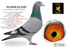 PL-0498-25-2581 prawnuk 20345 w 4 lata 49 konk / MAŁY VOS / HET WONDER