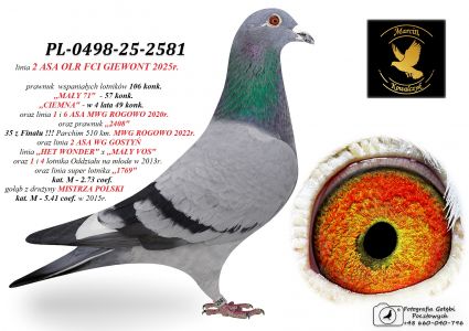 PL-0498-25-2581 prawnuk 20345 w 4 lata 49 konk / MAŁY VOS / HET WONDER