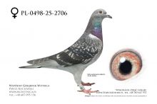 PL-0498-25-2706: Team Droszcz