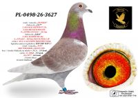 PL-0498-26-3627 wnuk ,,ZŁOTKO
