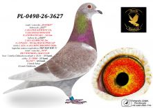 PL-0498-26-3627 wnuk ,,ZŁOTKO
