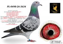 PL-0498-26-3634 prawnuczka 2 topowych ASÓW OLR KRAKUS / 2 ASA POLSKI